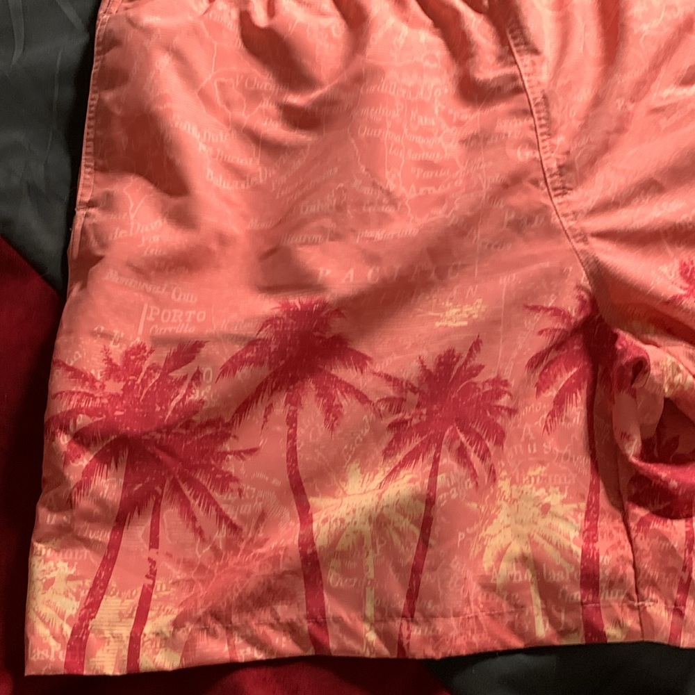 Madda Fella Sanbar Swim Trunk - XL - Picture 2 of 10